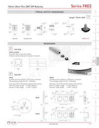 FR02FC16P Datasheet Pagina 4