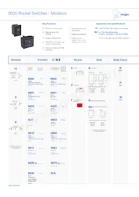 H8650VBBBEN577W Datasheet Cover