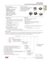 RTE0302M04 Datasheet Copertura