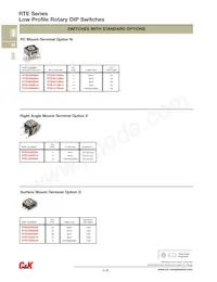 RTE0302M04 Datasheet Pagina 2