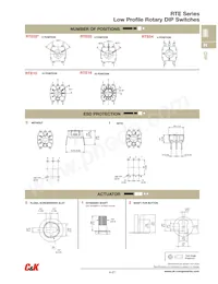 RTE0302M04 Datasheet Pagina 3