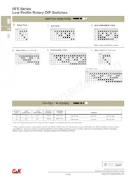 RTE0302M04 Datasheet Pagina 6