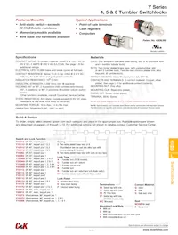 Y1011U2R203NQE Datasheet Cover