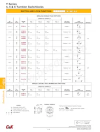 Y1011U2R203NQE Datasheet Pagina 2