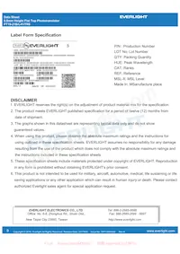 PT19-21B/L41/TR8 Datenblatt Seite 9