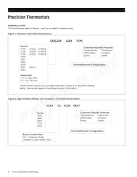 3100  00430436 Datasheet Pagina 2