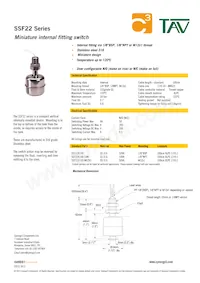 SSF22X100-M12X1數據表 封面