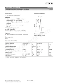 B57541G1104F000 Datasheet Page 2