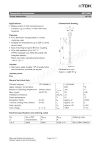 B57703M1104A002 Datasheet Pagina 2