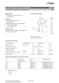 B57885S0303F000 Datenblatt Seite 2