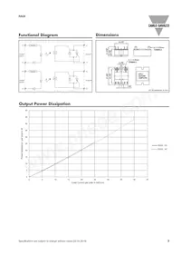 RA2A48D40 Datasheet Page 3