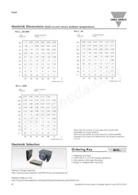 RA2A48D40 Datasheet Page 4