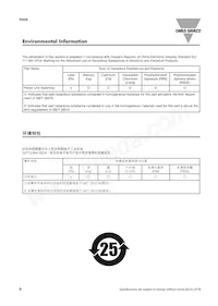 RA2A48D40 Datasheet Page 8