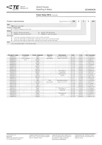 RM808024 Datasheet Pagina 3