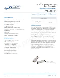 BCM4414VG0F4440M02 Datasheet Copertura