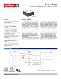 BPM15-050-Q12N-C Datasheet Copertura