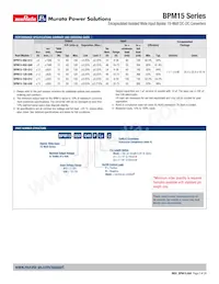 BPM15-050-Q12N-C Datasheet Page 2