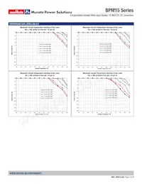 BPM15-050-Q12N-C Datasheet Pagina 6