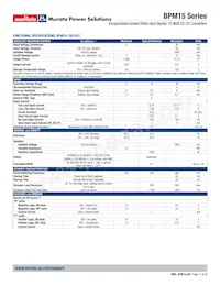 BPM15-050-Q12N-C Datasheet Pagina 11