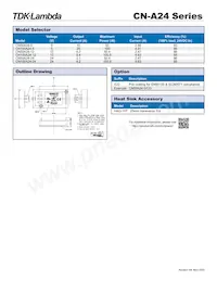 CN100A245/CO2 Datasheet Page 2