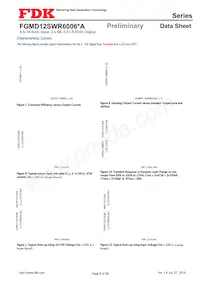 FGMD12SWR6006PA Datenblatt Seite 8