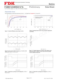 FGMD12SWR6012PA Datenblatt Seite 8