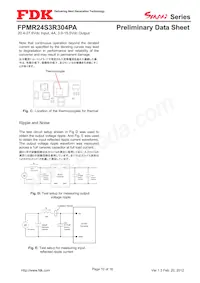 FPMR24S3R304PA Datasheet Page 10