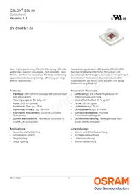 GY CS8PM1.23-KPKR-36 Datasheet Cover