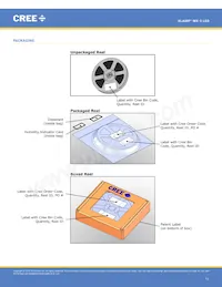 MX3SWT-A1-R250-000E53 Datenblatt Seite 11