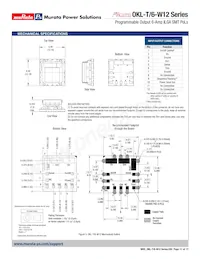 OKL2-T/6-W12P-C數據表 頁面 11