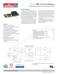 OKY2-T/16-W5N-C Datasheet Copertura