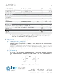 Q48S30015-PS0V Datasheet Pagina 3