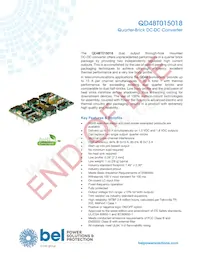 QD48T015018-NCB0G Datasheet Cover