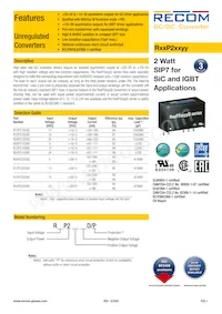 R15P22005D/P Datasheet Cover