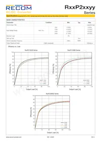 R15P22005D/P Datasheet Page 2