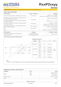 R15P22005D/P Datasheet Page 5