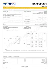 R15P22005D/P數據表 頁面 5