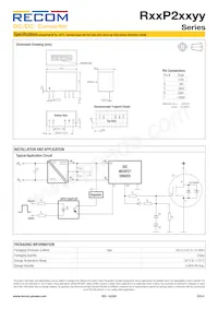 R15P22005D/P Datasheet Page 6