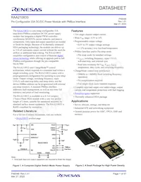 RAA2108332GLG#AG0 Datasheet Copertura