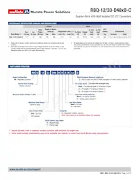 RBQ-12/33-D48NBS-C Datasheet Page 2