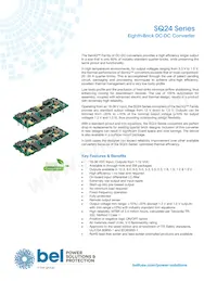 SQ24S15033-PS0S(G) Datasheet Copertura