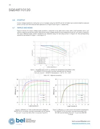 SQE48T10120-PDB0G Datasheet Pagina 10