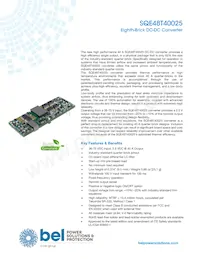 SQE48T40025-NDAKG Datasheet Cover