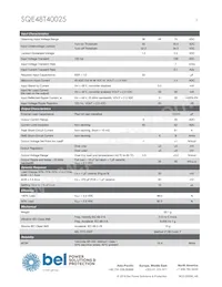 SQE48T40025-NDAKG Datasheet Page 3