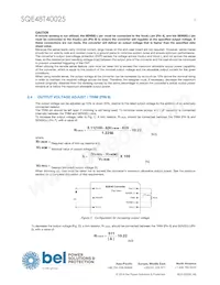 SQE48T40025-NDAKG Datasheet Page 5