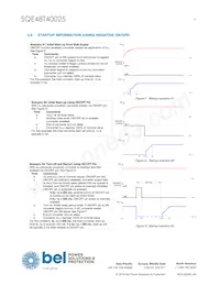 SQE48T40025-NDAKG Datasheet Page 9