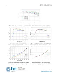 SQE48T40025-NDAKG Datasheet Page 10