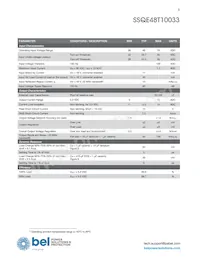 SSQE48T10033-NACCG Datasheet Pagina 3