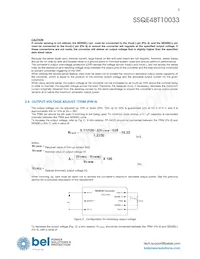 SSQE48T10033-NACCG Datasheet Pagina 5