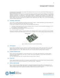 SSQE48T10033-NACCG Datasheet Pagina 9